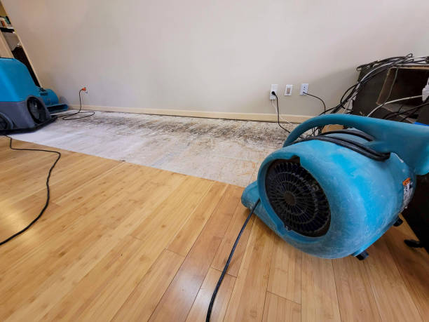Professional Water Extraction technician working in Woodland, WI